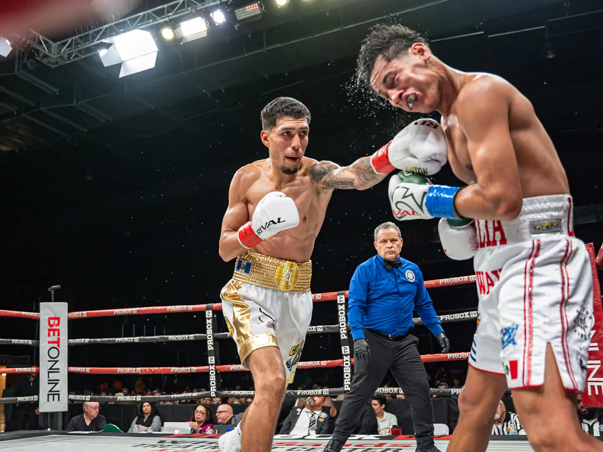 Kevin Anton-Freudis Rojas fight, October 16, 2026