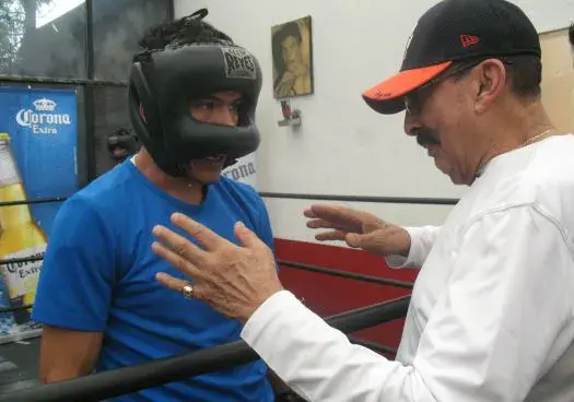 Pollito Ceja