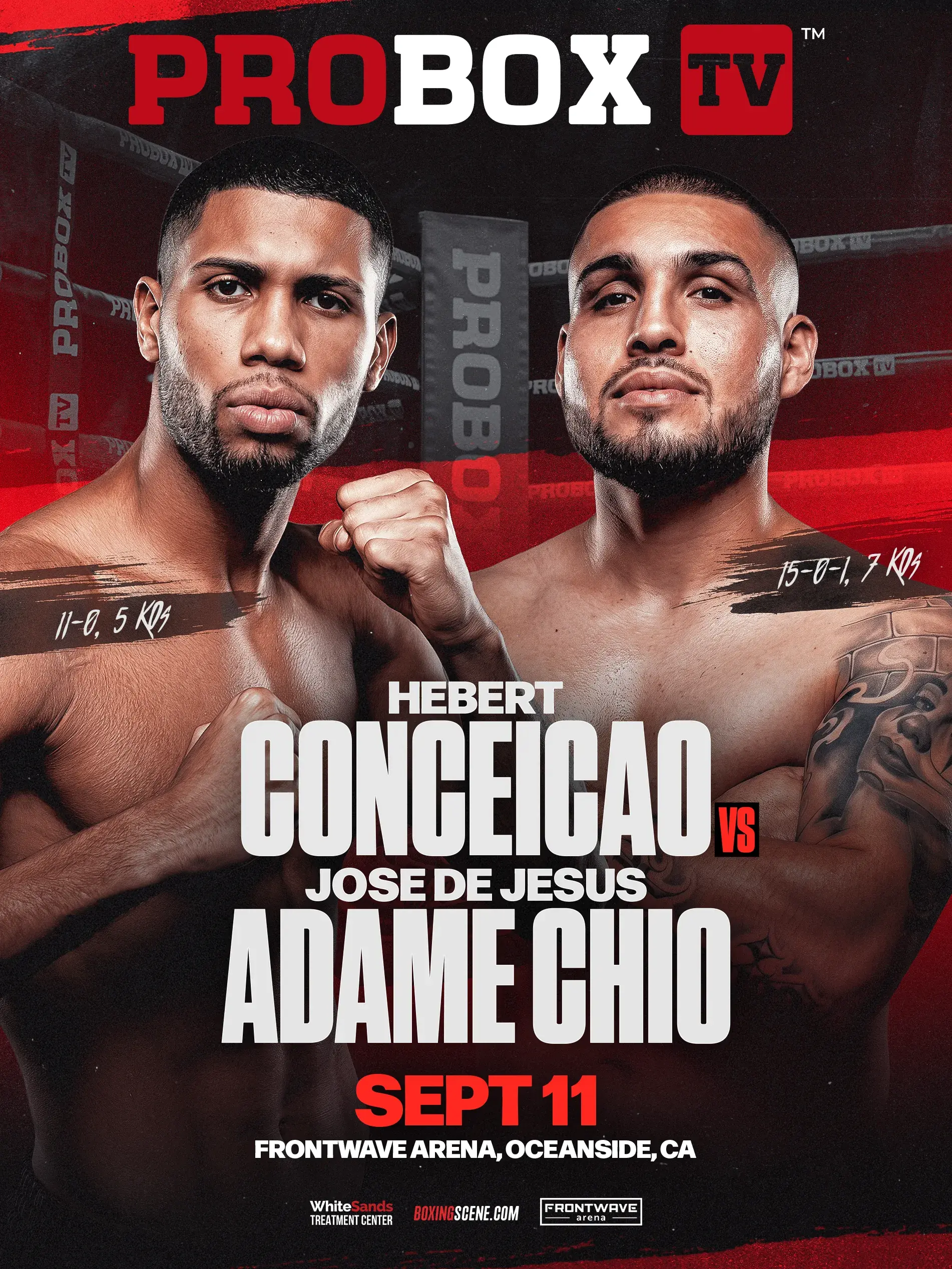 Hebert Conceicao Sousa-Jose De Jesus Adame Chio artwork