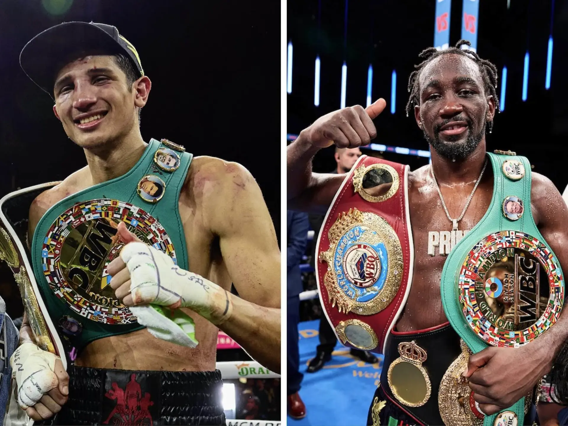 Ianfundora Terencecrawford