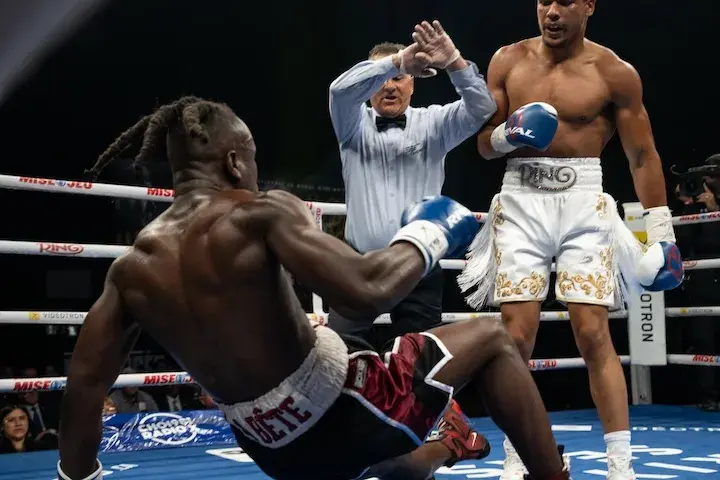 Wilkens Mathieu TKO Adagio McDonald