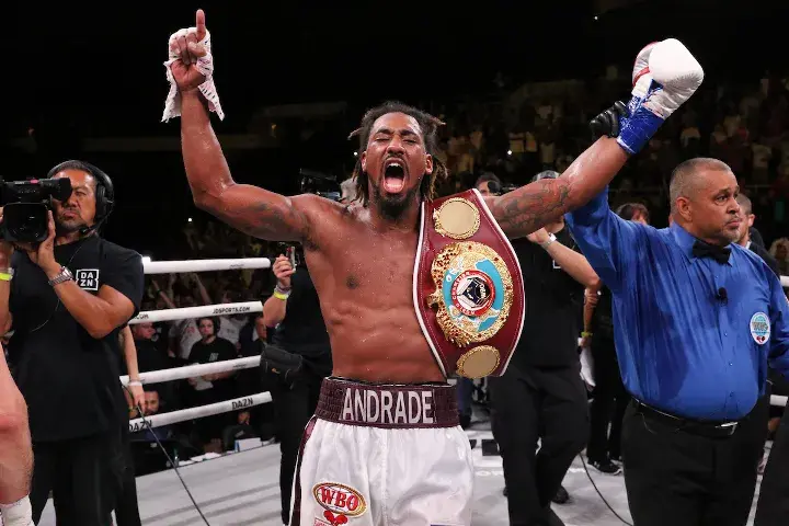 Andrade Sulecki Fight