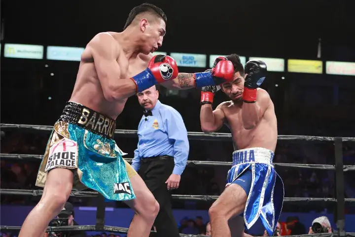 Barrios Zamora Fight