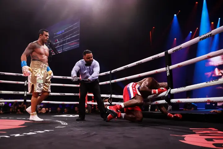 Belfort Holyfield Fight