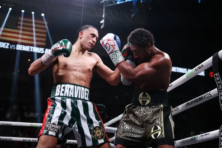 Benavidez Andrade Fight