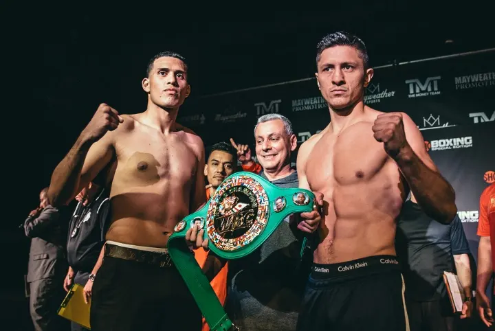 Benavidez Gavril Weights
