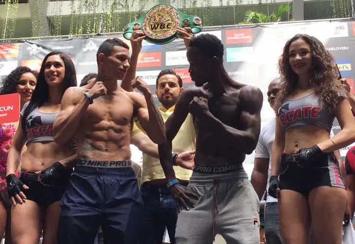 Berchelt Awuku Weights