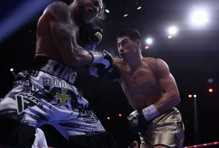Bivol Arthur Fight