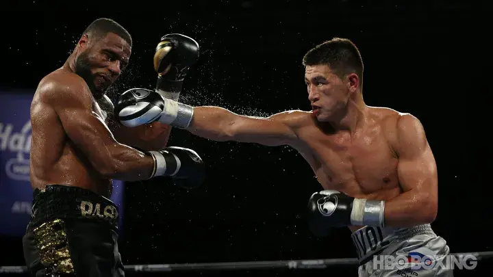 Bivol Pascal Fight