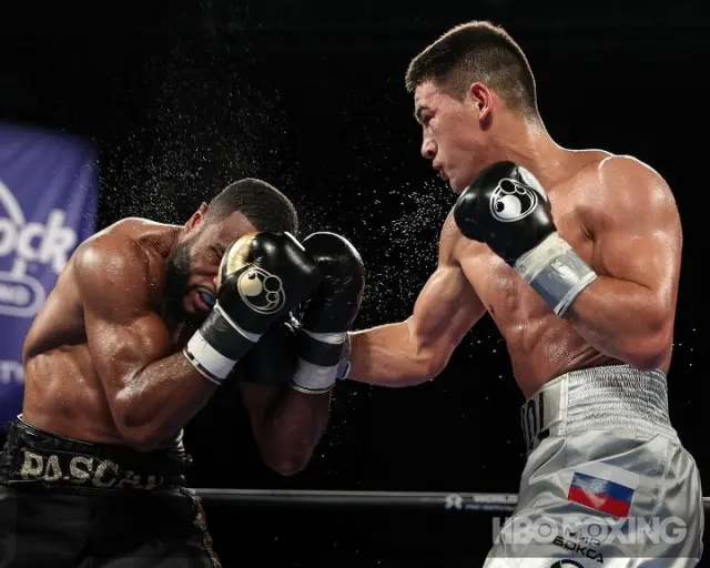 Bivol Pascal Fight