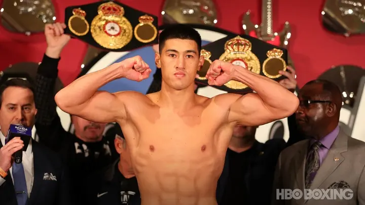 Bivol Pascal Weights