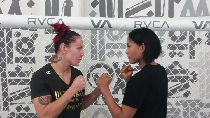 Braekhus Cyborg