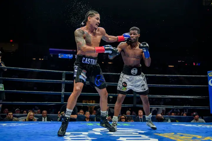 Browne Castillo Fight