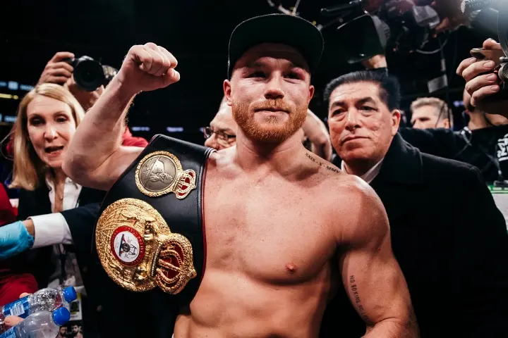 Canelo Fielding Fight