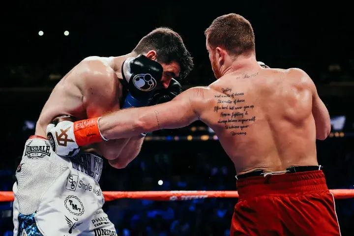 Canelo Fielding Fight
