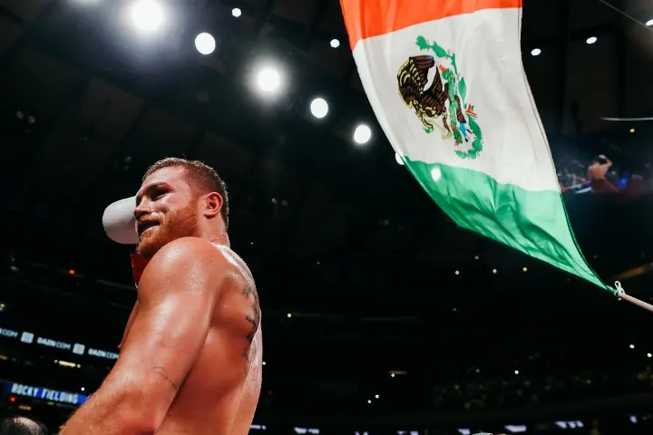Canelo Fielding Fight