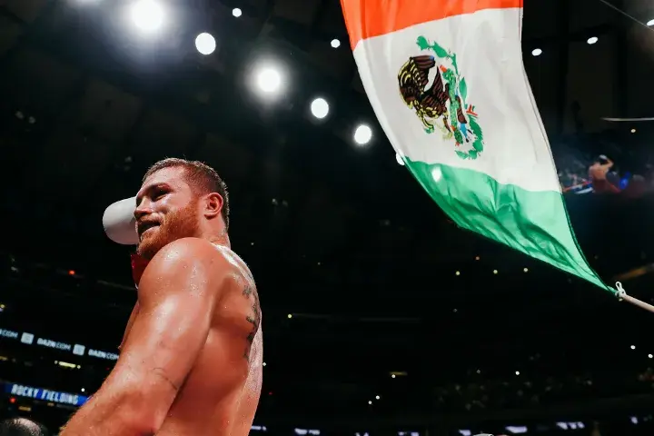 Canelo Fielding Fight