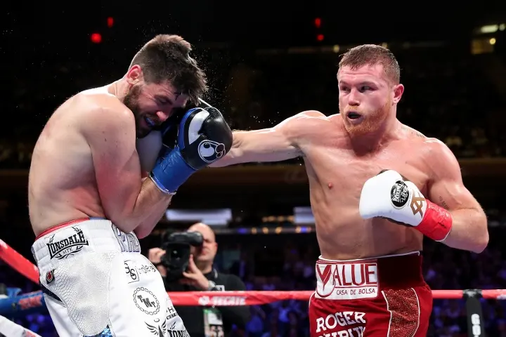 Canelo Fielding Fight