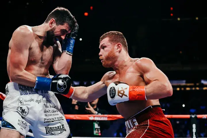 Canelo Fielding Fight