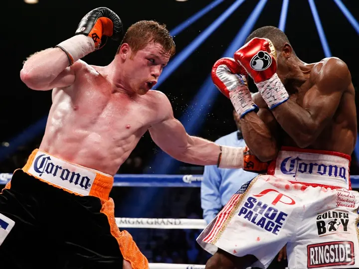Canelo Lara Fight