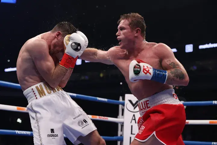 Canelo Smith Fight