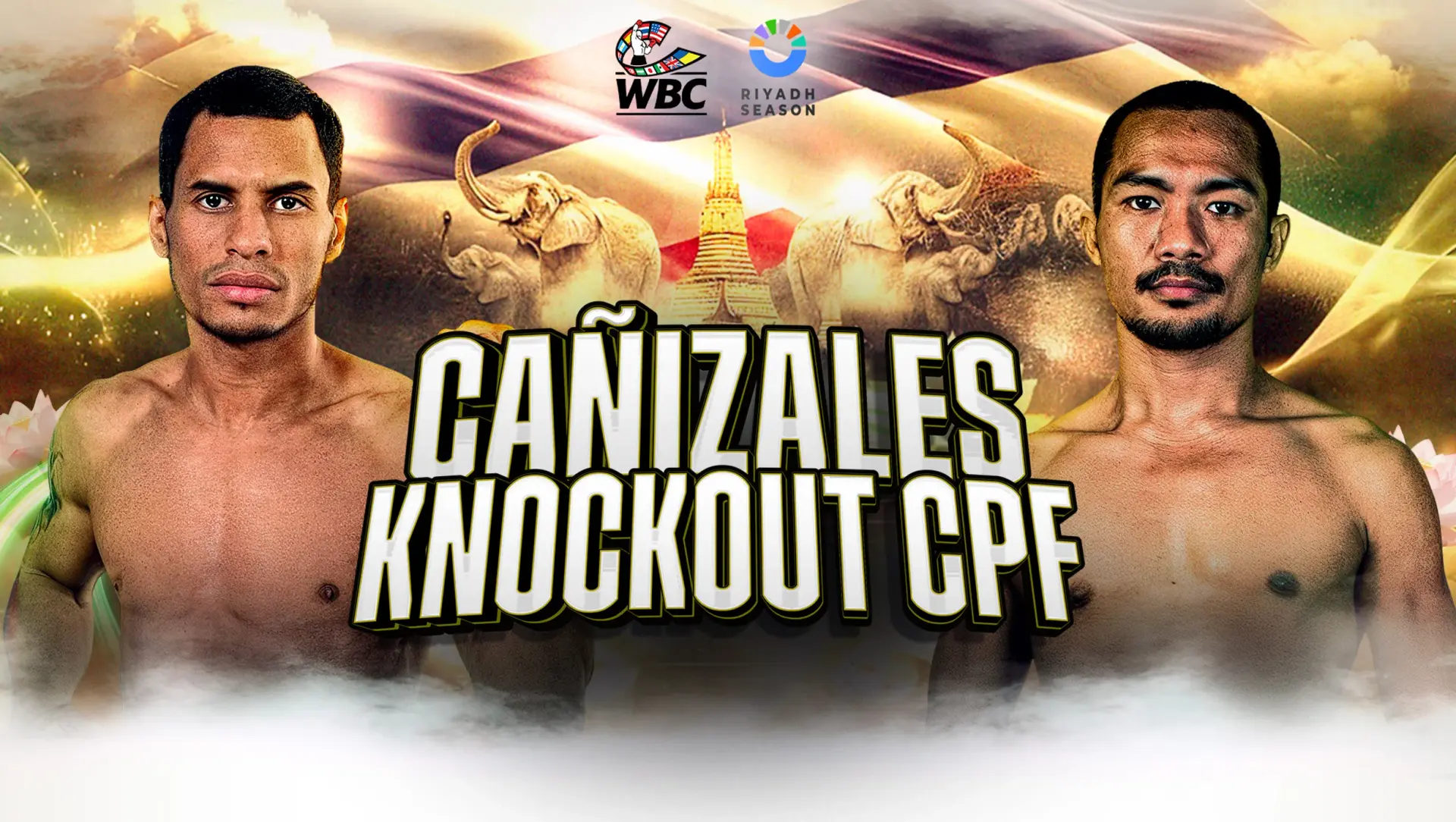carloscanizales-knockoutcpfreshmart-fightposter