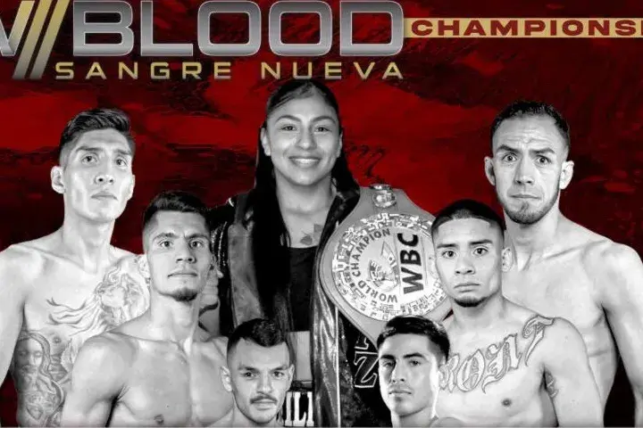 Cbn Boxing