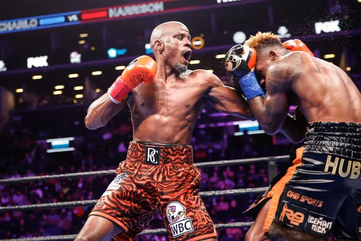 Charlo Harrison Fight