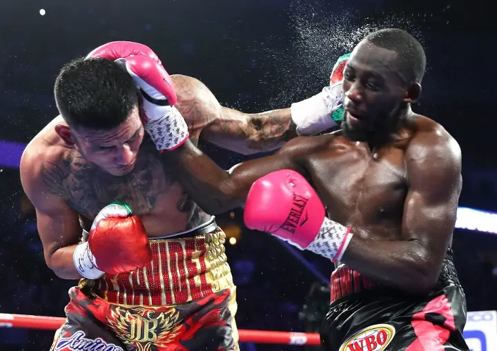 Crawford Benavidez Fight