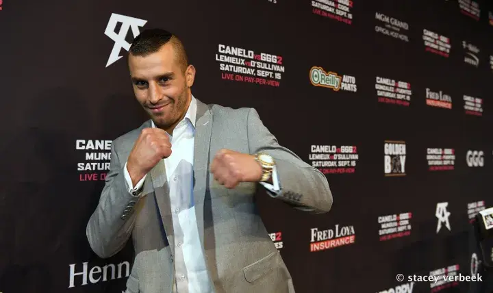 David Lemieux