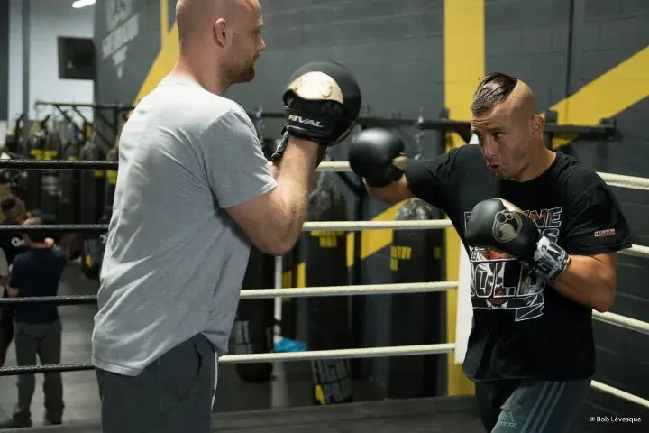 David Lemieux