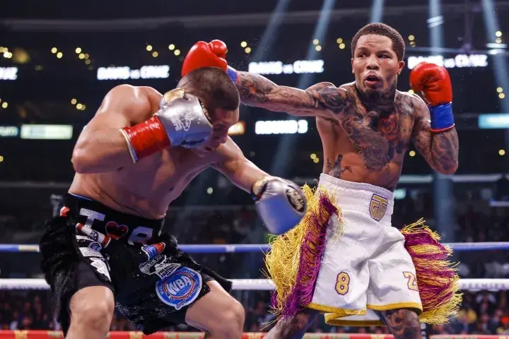 Davis Cruz Fight