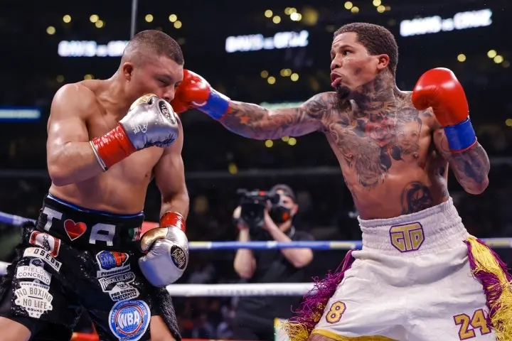 Davis Cruz Fight
