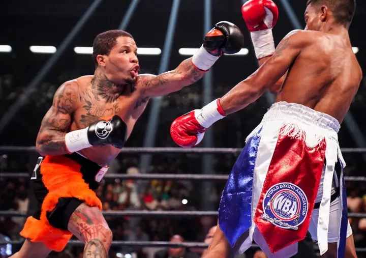 Davis Nunez Fight
