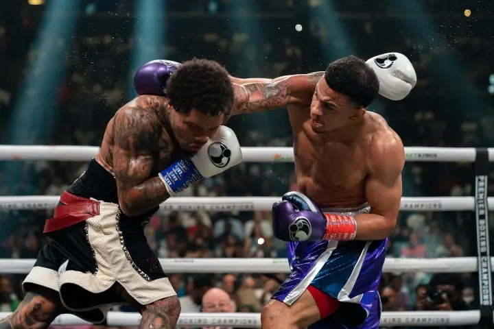 Davis Romero Fight Hafey