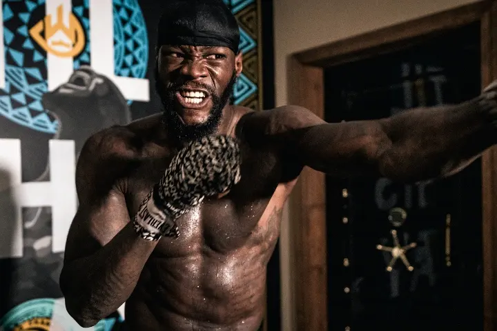 Deontay Wilder Hafey