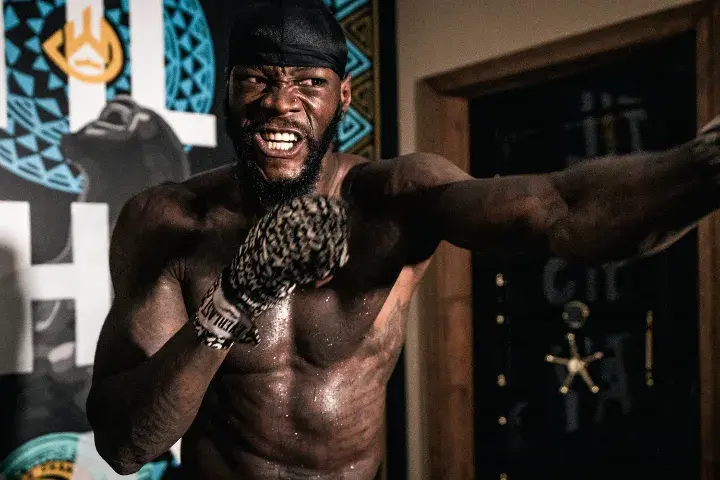 Deontay Wilder Hafey