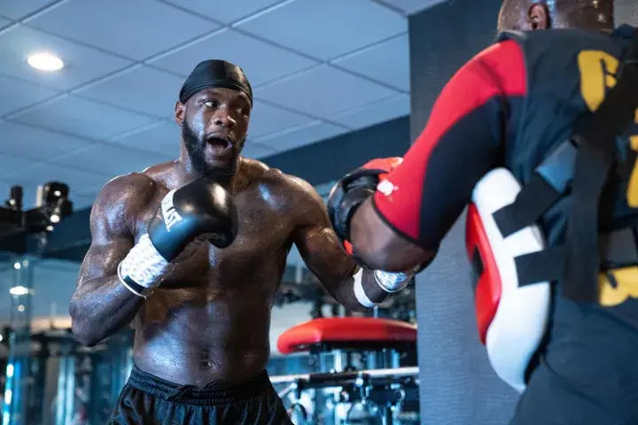 Deontay Wilder Hafey