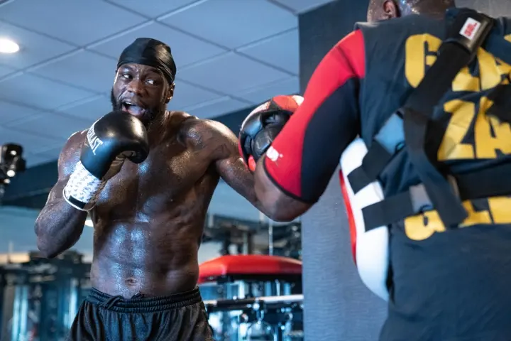 Deontay Wilder Hafey