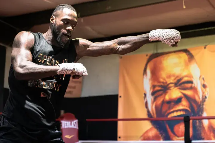Deontay Wilder Hafey