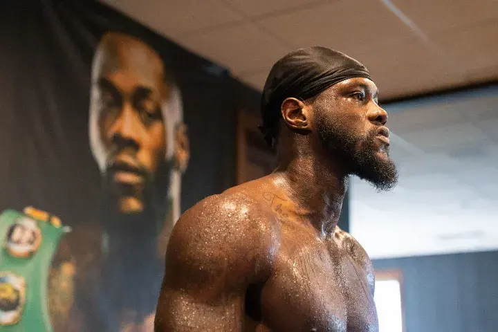 Deontay Wilder Hafey