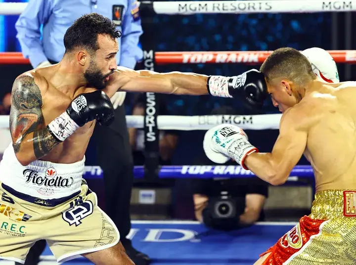 Diaz Sanchez Fight