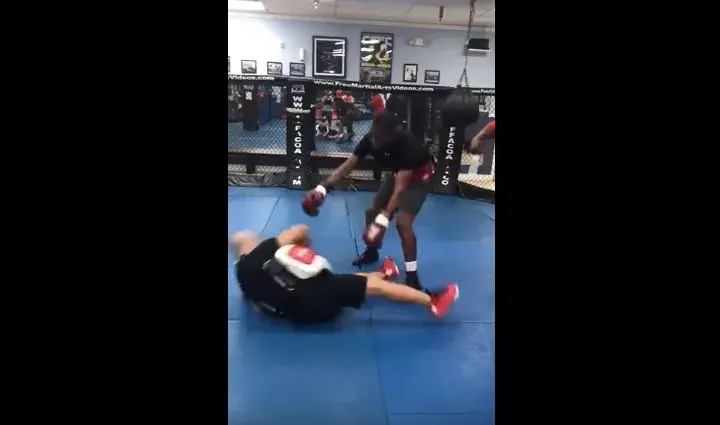 Dorticos Trainer