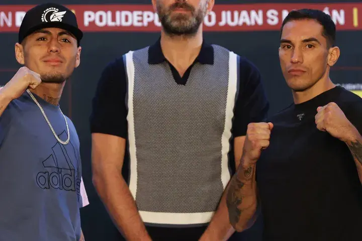 Fierro Estela