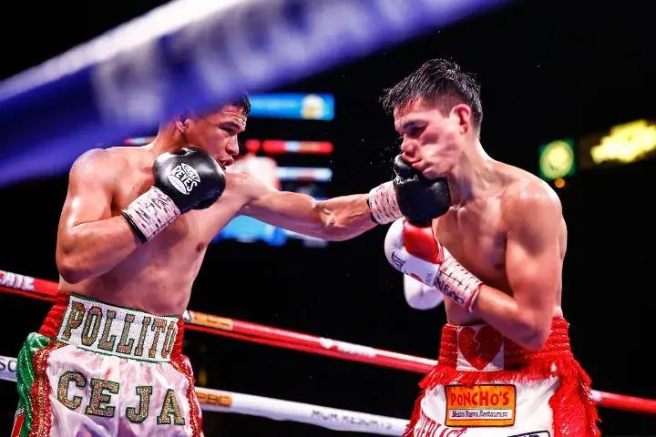 Figueroa Ceja Fight