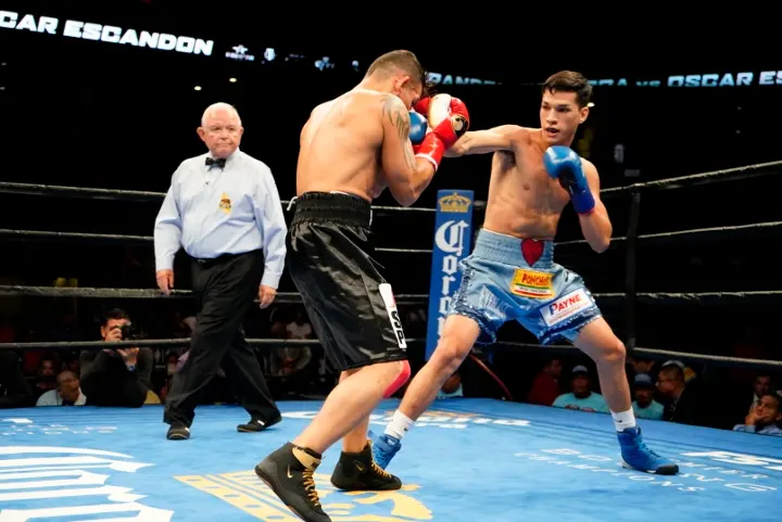 Figueroa Escandon Fight