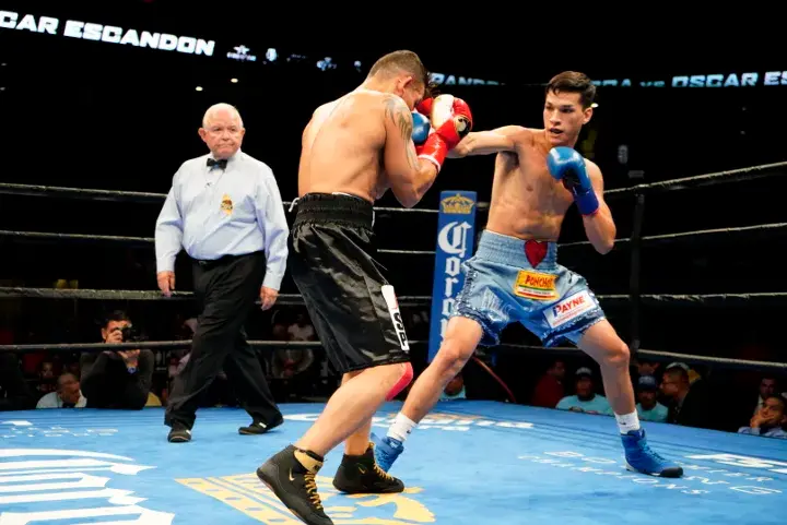 Figueroa Escandon Fight