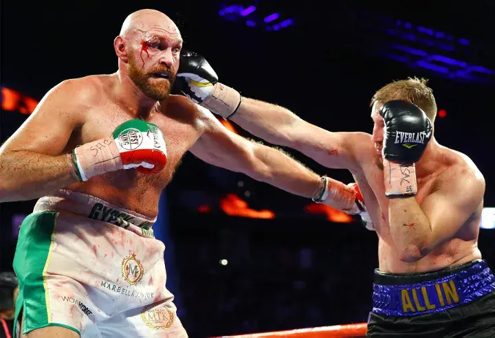 Fury Wallin Fight