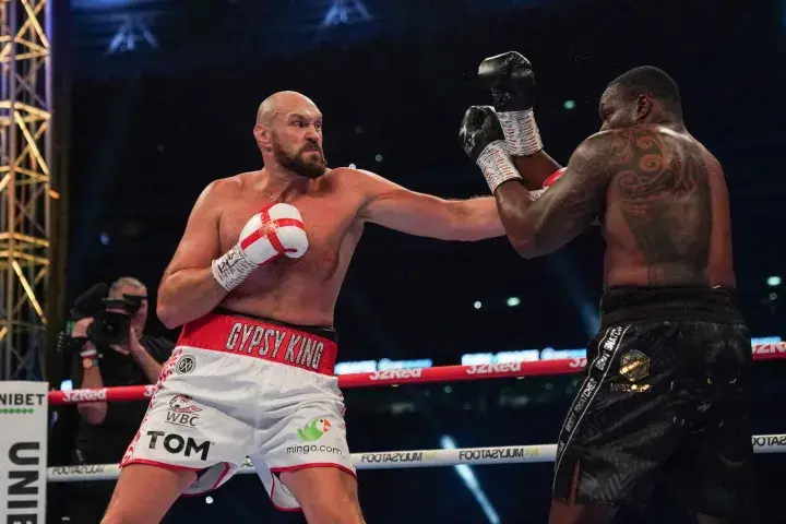 Fury Whyte Fight