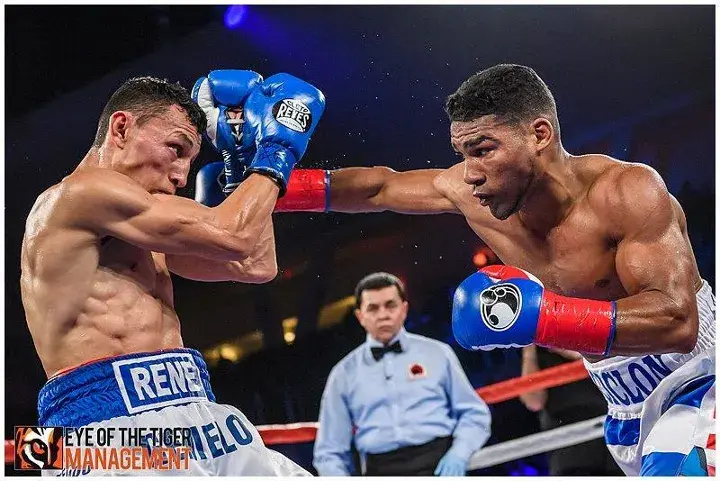 Gamboa Alvarado Fight